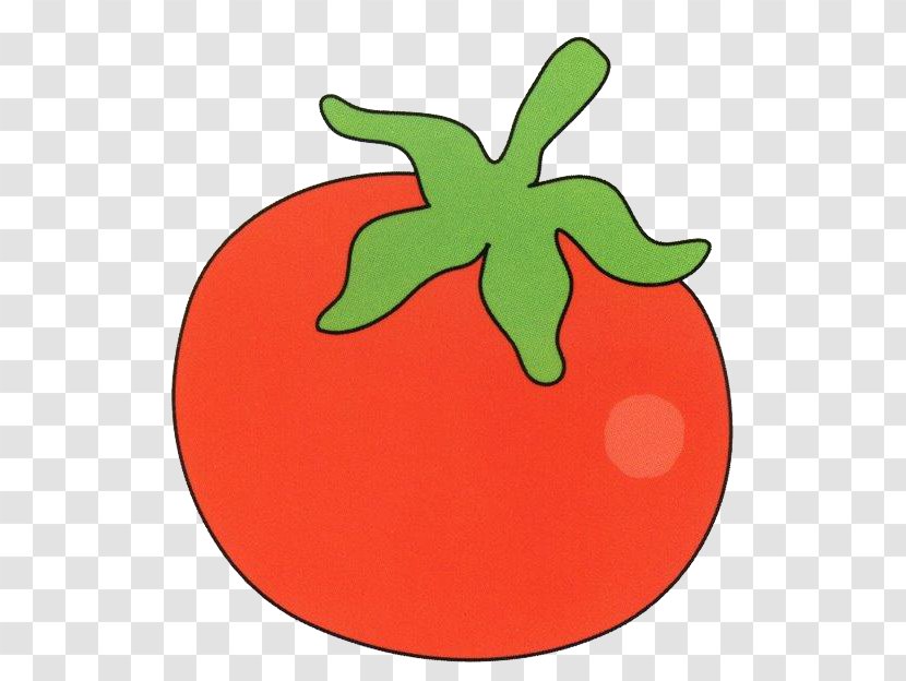 Vegetable Drawing Potato Tomato Transparent PNG