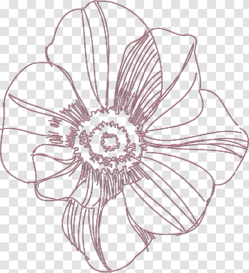 Floral Design Cut Flowers White - Delicate Transparent PNG