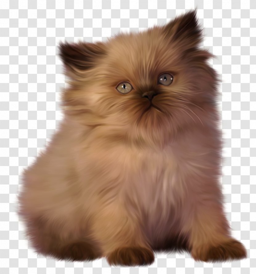Kitten British Shorthair Desktop Wallpaper Clip Art - Three Little Kittens - Cats Transparent PNG