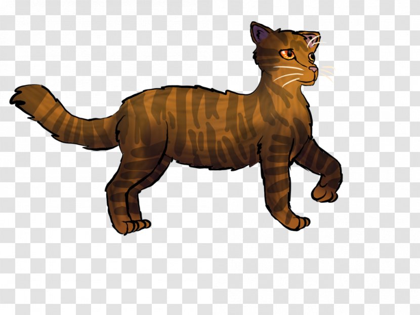 Whiskers Wildcat Terrestrial Animal Wildlife - Small To Medium Sized Cats - Cat Transparent PNG