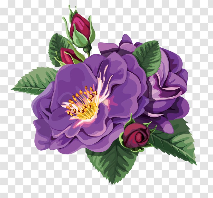 Rosa Chinensis Flower Clip Art - Garden Roses - Purple Rose Transparent PNG