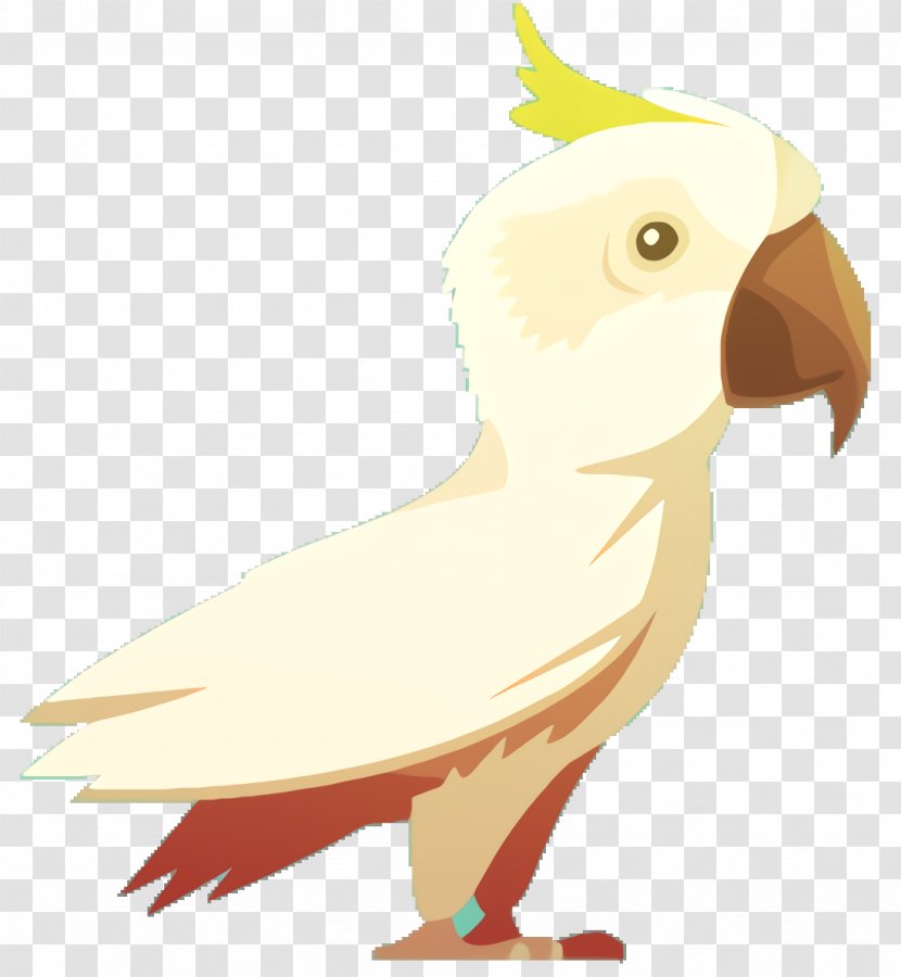 Bird Parrot - Tail Sulphurcrested Cockatoo Transparent PNG