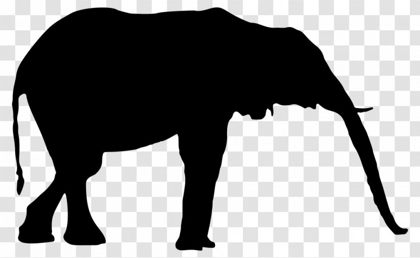 Giraffe Asian Elephant Elephantidae Clip Art Transparent PNG