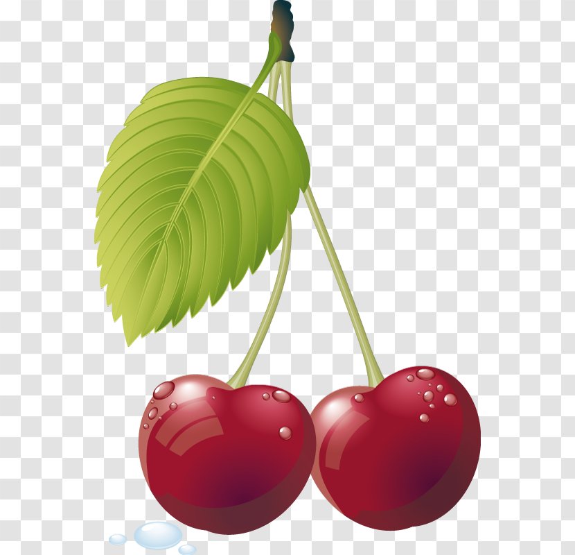 Juice Cherry Royalty-free - Grape - Drink Transparent PNG