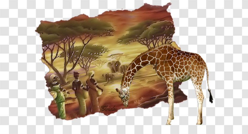 Tutorial Blog - Terrestrial Animal - AFRIQUE Transparent PNG