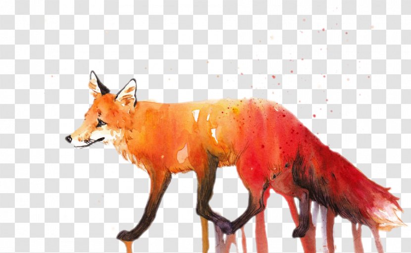 Small Fire Red Fox Pull Material Free - Gratis Transparent PNG