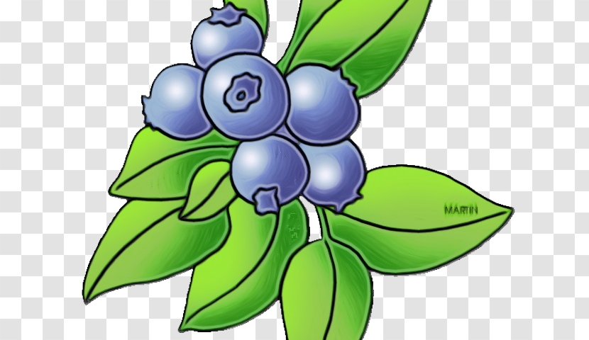 Blue Iris Flower - Leaf - Herbaceous Plant Transparent PNG