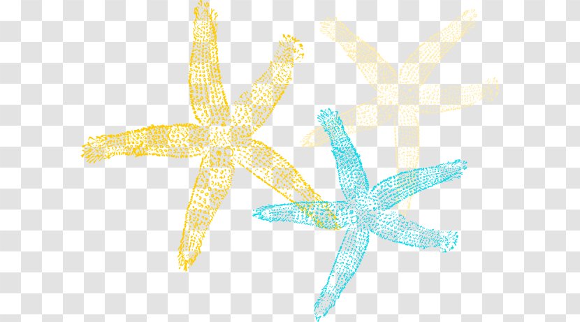 Starfish Echinoderm Clip Art - Silhouette - Print Poster Transparent PNG