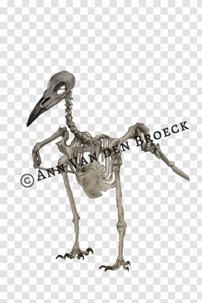 Water Bird Skeleton Figurine - Crazy Bonez Cat Transparent PNG