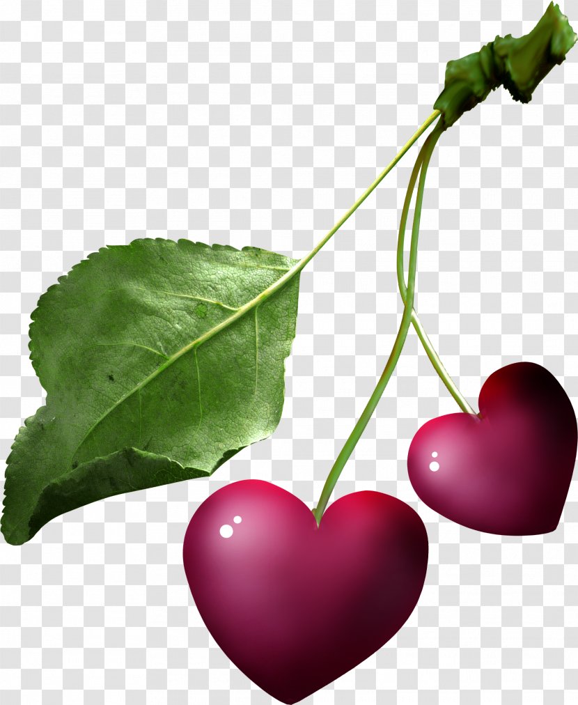 Leaf Heart Follaje - Twig - Cherry Fruit Transparent PNG