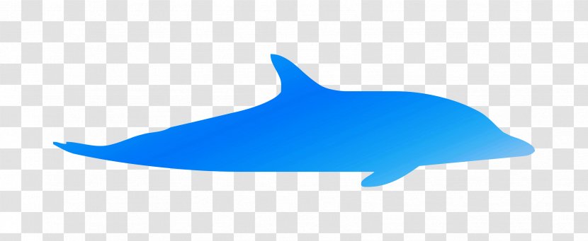 Common Bottlenose Dolphin Marine Biology - Blue Whale - Mammal Transparent PNG