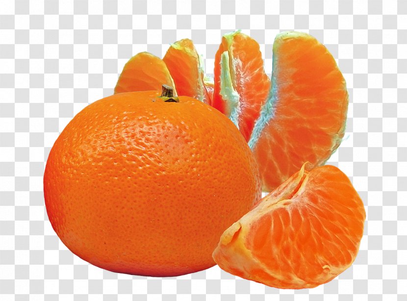 Cocktail Orange Juice Fruit Mandarina - Apple - Citrus Transparent PNG