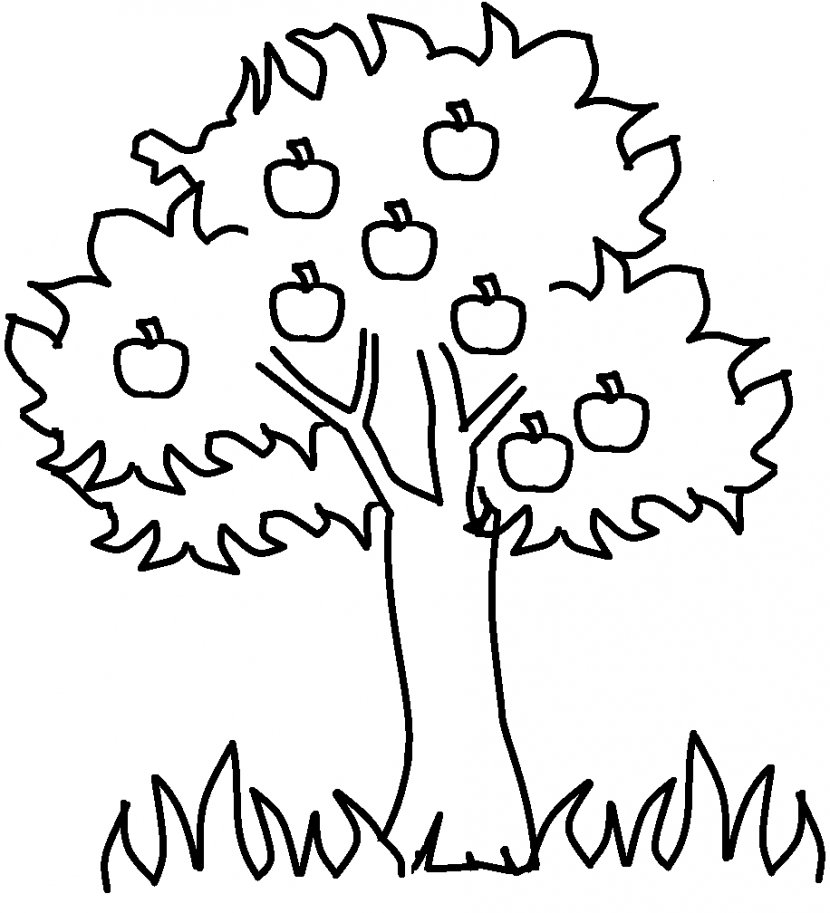 Coloring Book Tree Child Trunk Adult - Cartoon - Printable Pictures Of Trees Transparent PNG