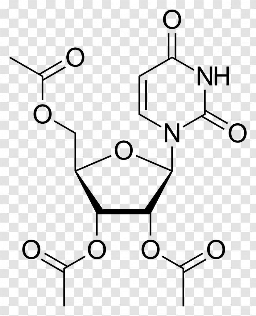 Thymidine Amine Deoxyuridine Monophosphate Carboxylic Acid - Tree - Flower Transparent PNG