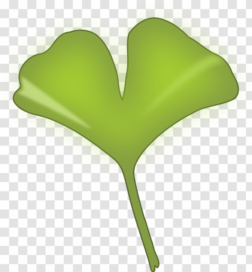 Ginkgo Biloba Leaf Tree Ginkgoaceae Clip Art - Grass Transparent PNG