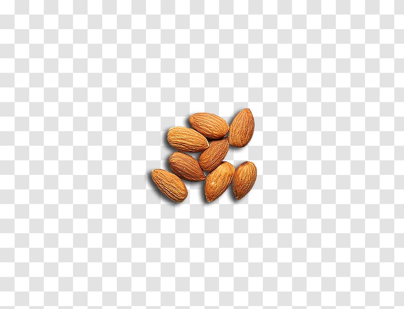 Nut Almond Apricot Kernel - Dried Fruit Transparent PNG