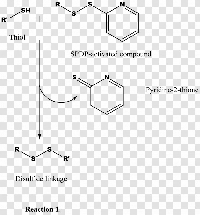 Thiol Amine Cross-link Pyridine Amino Acid - Disulfide Transparent PNG
