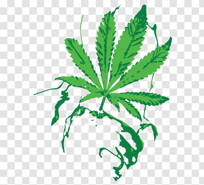 Cannabis Shop Hash Oil Marijuana Sativa - Mary Jane Transparent PNG