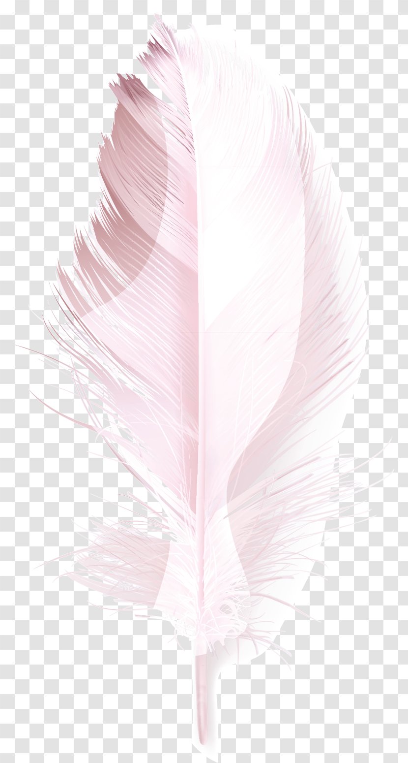 Feather - Pink Transparent PNG