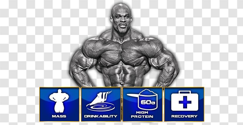 Mr. Olympia Bodybuilding Muscle & Fitness Pound Strength Training - Flower - Ronnie Coleman Transparent PNG