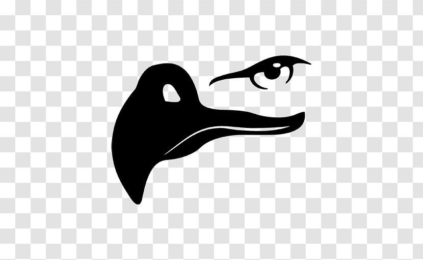 Bald Eagle Eye Beak - Duck Transparent PNG