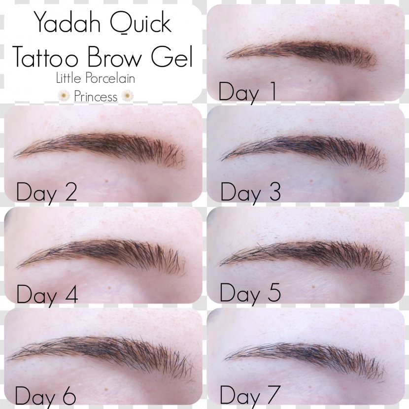 Eyebrow Eye Shadow Tattoo Color Permanent Makeup - Fur - Hair Transparent PNG