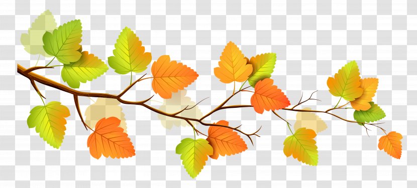Autumn Branch Tree Clip Art - Orange - Fall Decor Clipart Transparent PNG