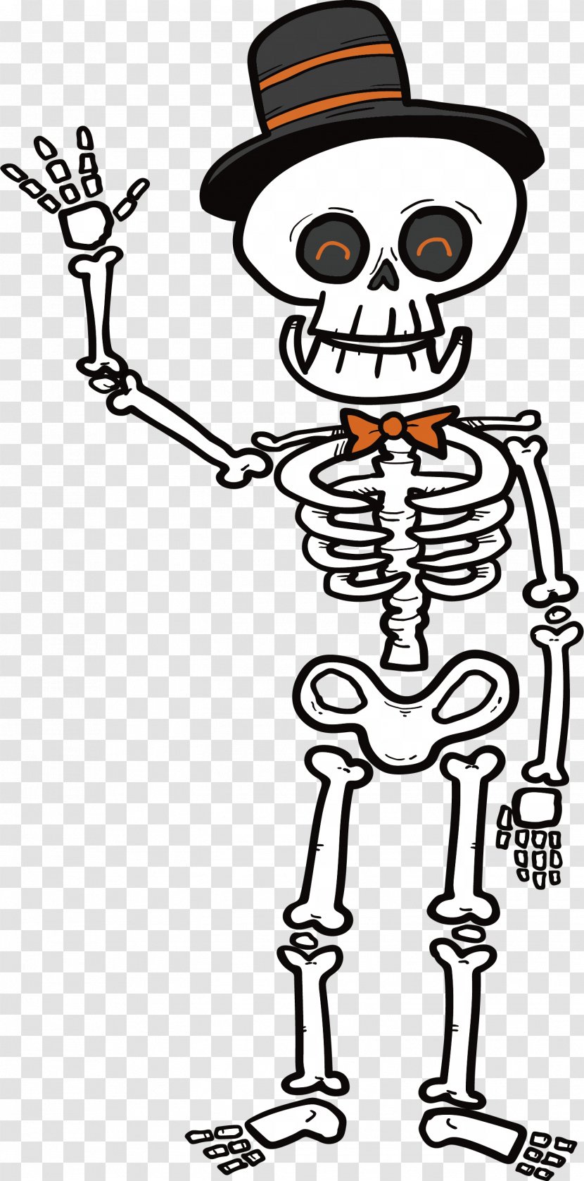 Human Skeleton Microsoft PowerPoint Clip Art - Preview - A Greeting Transparent PNG