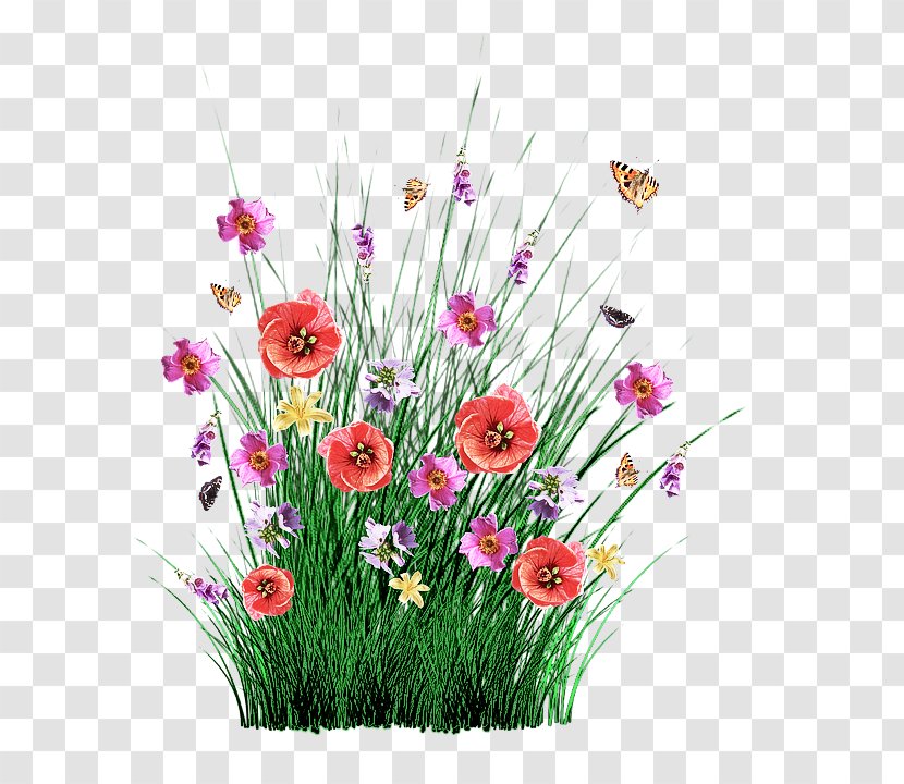 Floral Design - Wildflower Pink Transparent PNG