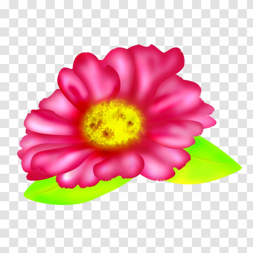 Flower Fuchsia Petal Green - Drawing Transparent PNG