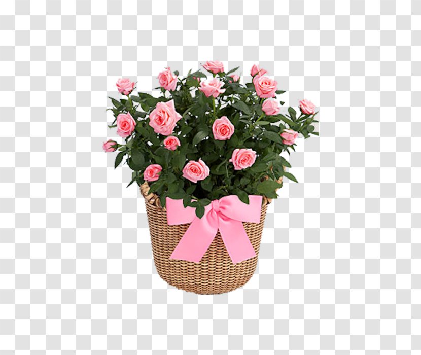 Garden Roses Flower Bouquet Cut Flowers - Plant - Met Love Transparent PNG