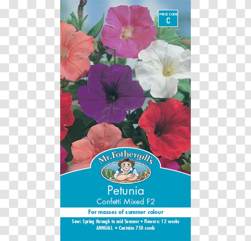 Petunia Seed Flower Germination Petal Transparent PNG