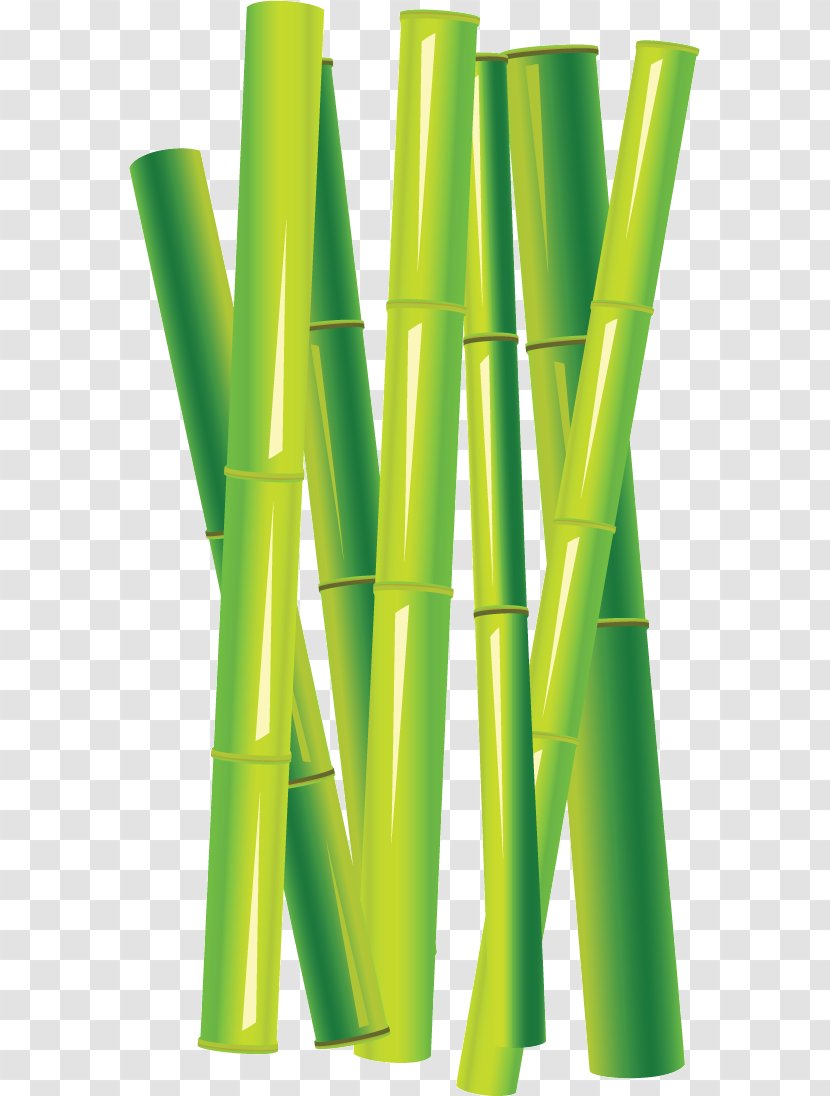 Tropical Woody Bamboos （株）丸山喜之助商店 - Vector Space - Grass Transparent PNG