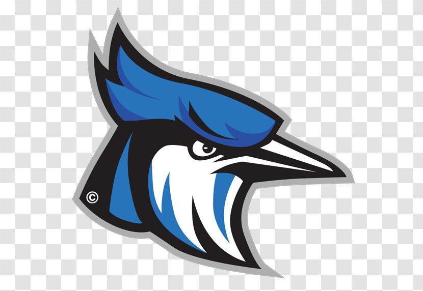 Raytown High School Toronto Blue Jays Middle - Fish Transparent PNG