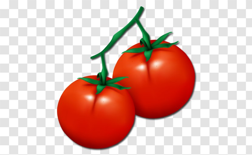 Plum Tomato Vegetable Vector Graphics Illustration - Fruit Transparent PNG