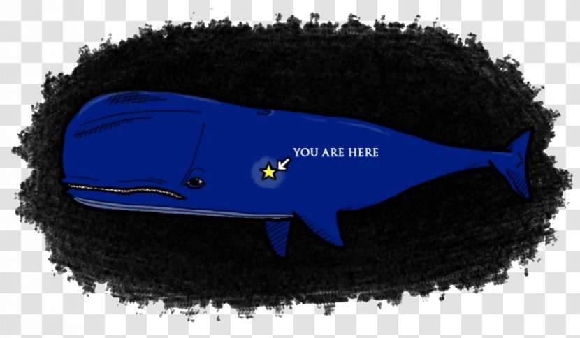 Shoe Fish - Electric Blue - Design Transparent PNG