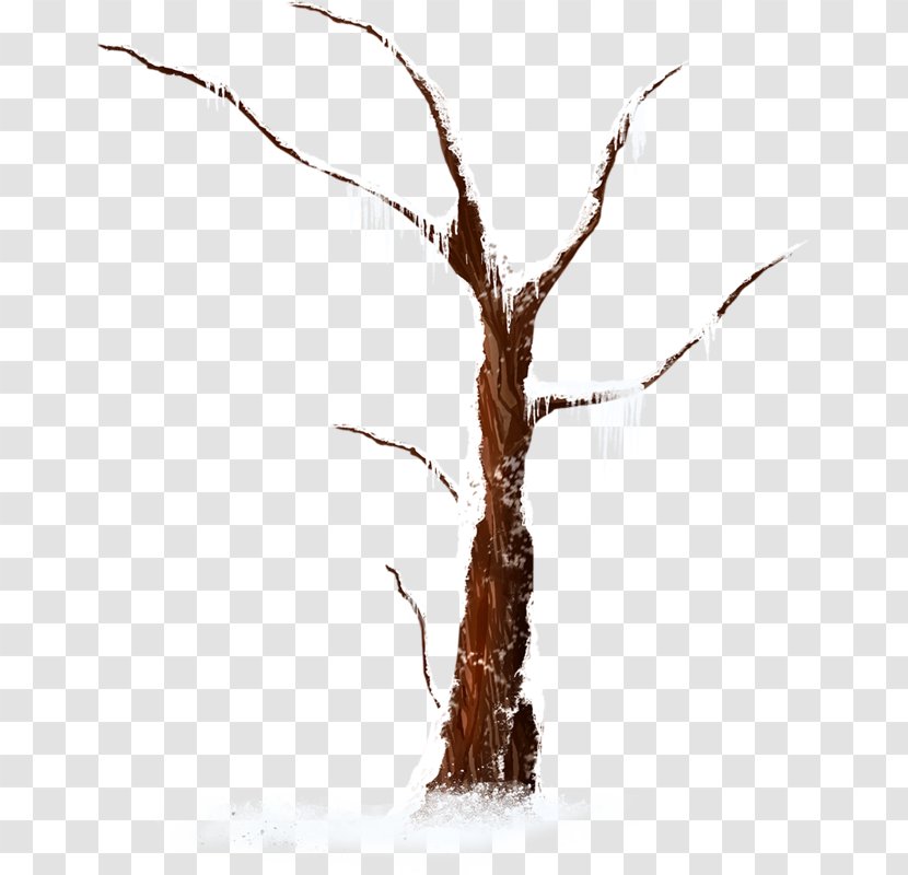 Winter Snow Tree Image - Trunk Transparent PNG