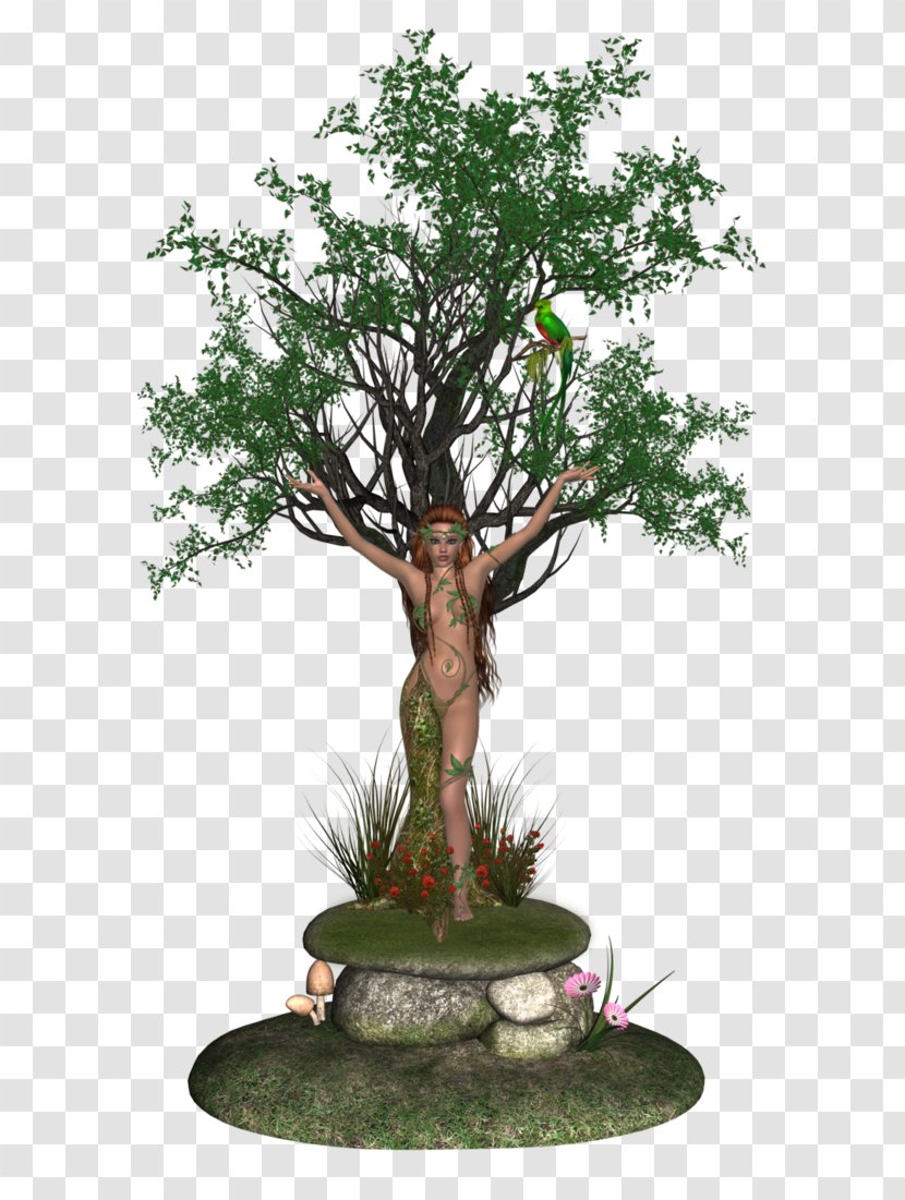 Juice Lab Cannes Tree Bonsai - Plant Transparent PNG