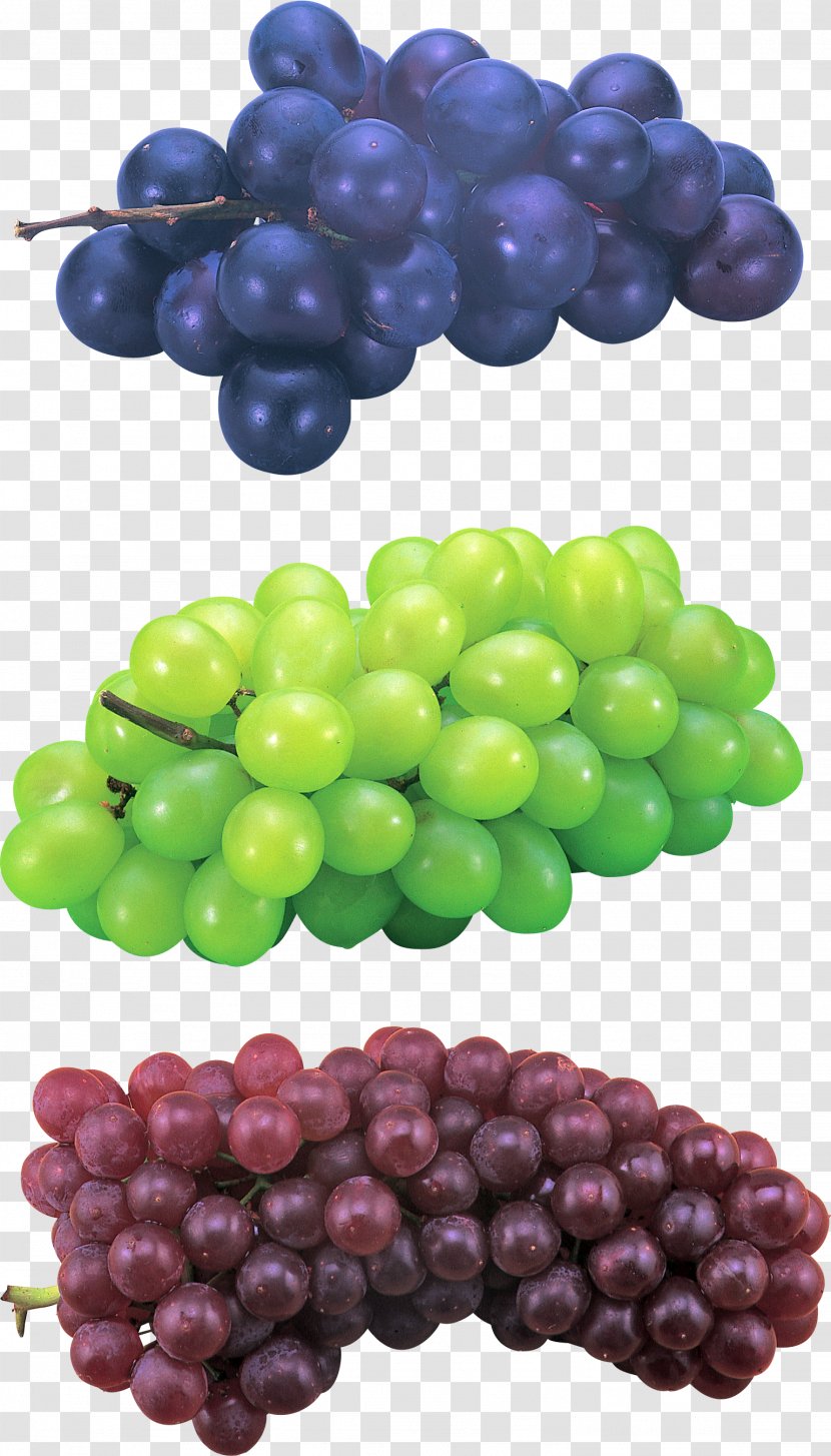Grape Fruit Salad Food Vegetable - Orange - Grapes Transparent PNG