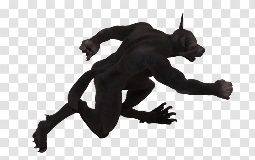 Werewolf: The Forsaken Werewolves Of Millers Hollow - Black And White - Werewolf Transparent PNG