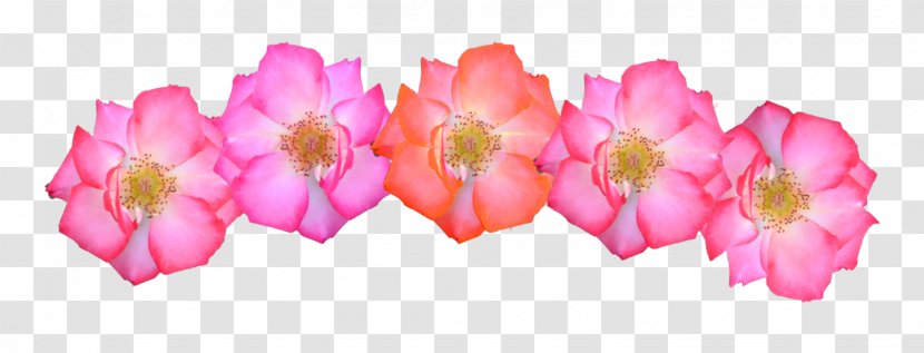 T-shirt Flower Headband Crown Clothing - Pink Flowers Transparent PNG