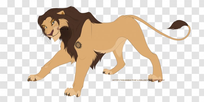 Lion Big Cat Sam Winchester Homo Sapiens - Like Mammal Transparent PNG