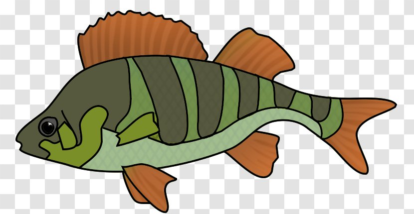 Reptile Cartoon Perch Tail Clip Art - Fauna - Orange Fish Transparent PNG
