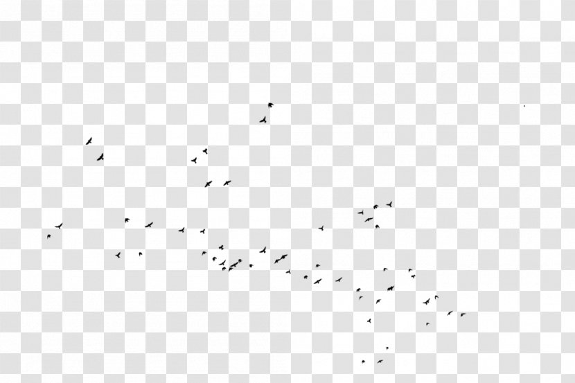 Bird Migration Silhouette Animal - Sky Transparent PNG