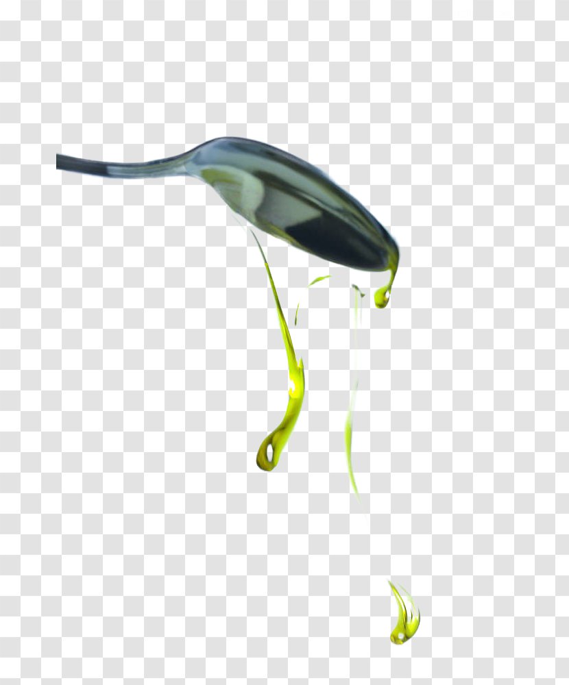 Olive Oil Cooking - Leaf Transparent PNG