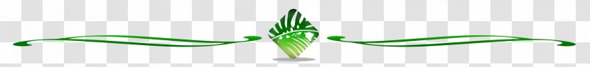 Commodity Font Leaf Close-up Plant Stem - Grasses - Green Divider Transparent PNG