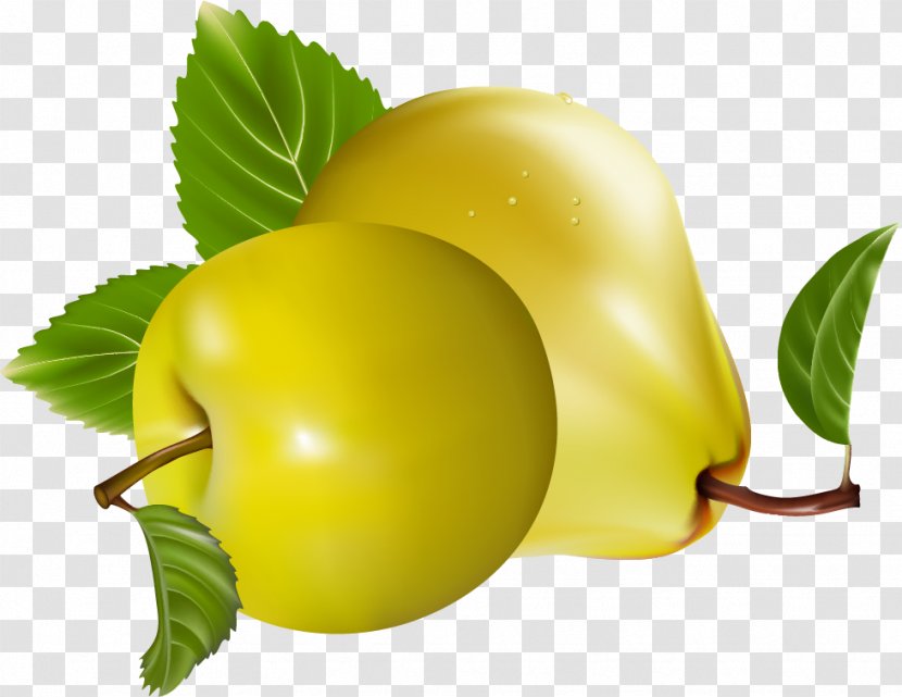 Apple Fruit Food Auglis Transparent PNG