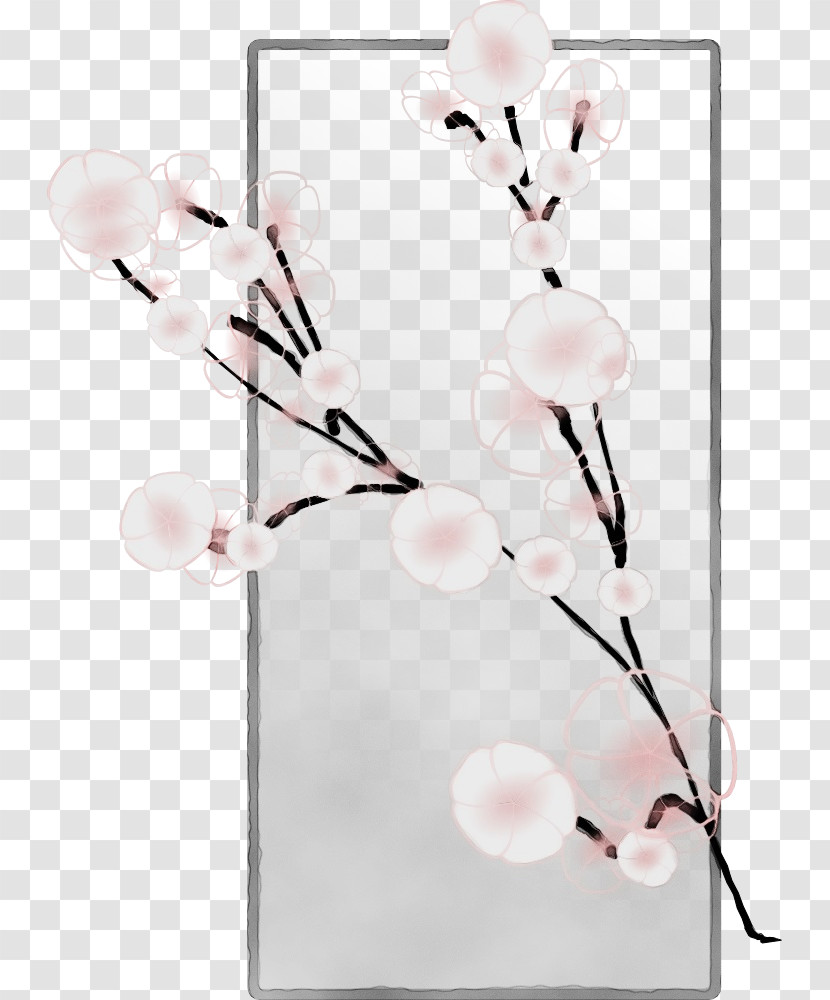 Cut Flowers Flower Petal Twig Transparent PNG