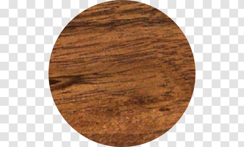 Lysiloma Latisiliquum Tzalam Hardwood Stinkingtoe - Wood - Circle Transparent PNG