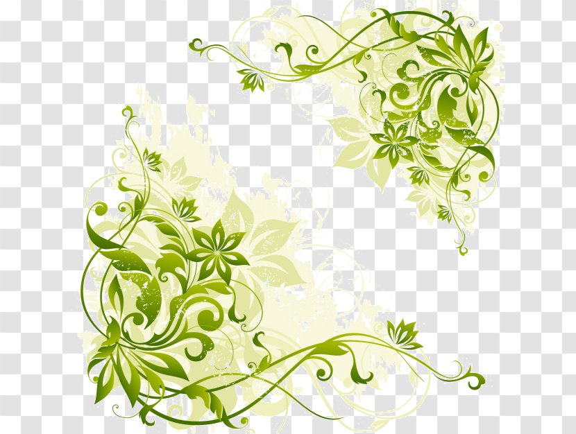 Drawing Pattern - Vine - Elegant Green Background Transparent PNG